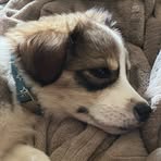 Profile Picture of Ben Mackenzie (@Ben-Mackenzie) on Facebook