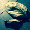 Profile Picture of Chandra Kiran Allipilli (@callipilli) on Flickr