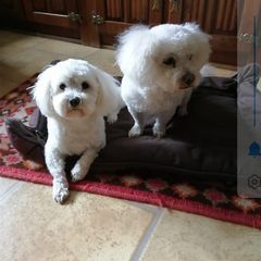 Profile Picture of Lore Wegener (@lore.wegener) on Tiktok