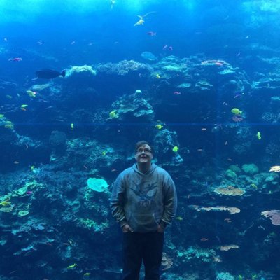 Profile Picture of Cody Blair (@Iamcodyblair) on Twitter