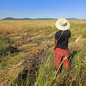 Profile Picture of Joseph Kasile (@josephkasile771) on Youtube