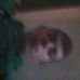 Profile Picture of Bosko Eric (@bosko.eric.5) on Facebook