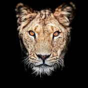 Profile Picture of Tushar Patel (@tusharpatel151) on Youtube