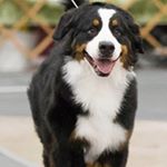 Profile Picture of Brenda Kranish (@winterfellbmd) on Instagram