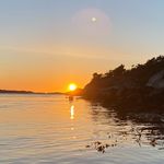 🌻 - Instagram Profile Picture of 🌻 (@padlographics) on Instagram