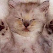 Profile Picture of Eleanor Wright (@mymusicspot) on Youtube