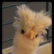 Profile Picture of Brian Peele (@brianpeele5577) on Youtube