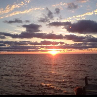 Profile Picture of Scott Trimble (@ScottCTrimble) on Twitter