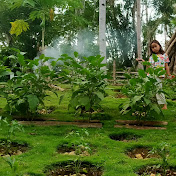 Profile Picture of Quinn Hannah's Backyard (@quinnhannahsbackyard2682) on Youtube