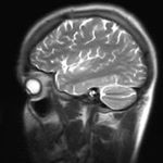 Profile Picture of Martin Wu (@wubaer) on Instagram