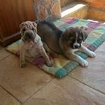 Profile Picture of Brian Tejedor Valiente (@briantejedorvaliente) on Instagram