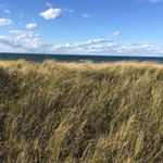 Matthew Hissa - Instagram Profile Picture of Matthew Hissa (@matthewhissa) on Instagram