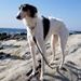 Profile Picture of keith Howard (@raphaelseth1) on Pinterest