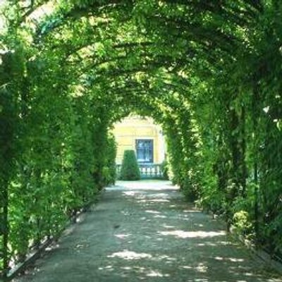 Profile Picture of Mohammed Khodeir (@matomad) on Twitter