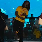 Profile Picture of Armond Wilson (@richiielargo) on Instagram