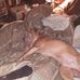 Profile Picture of Joshua Grigsby (@joshua.grigsby.5203) on Facebook