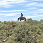 Profile Picture of Matthew J Tebbs (@tebbsranching_n_hunting) on Instagram