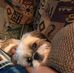 Profile Picture of Nicholas Doyle (@nicholas.doyle.585) on Facebook