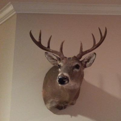 Profile Picture of Jimmy Maynard (@mrhooter3808) on Twitter
