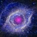 Profile Picture of Mark Groenewold (@groenewoldmark784) on Pinterest