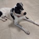 Profile Picture of Millicent Hayes (@mgh77) on Instagram