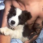 Profile Picture of Dylan Steinberg-Cooper (@dylansc) on Instagram