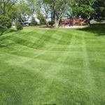 Profile Picture of Sean Rousseau (@rousseausean) on Instagram