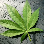 Profile Picture of Benjamin Haines (@BenTheWierdo) on Youtube