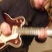 Profile Picture of Larry Cady (@lcady0517) on Pinterest