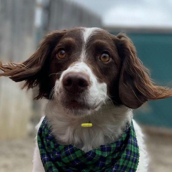 Profile Picture of Brian Eckblad (@zoakleaf) on Tiktok