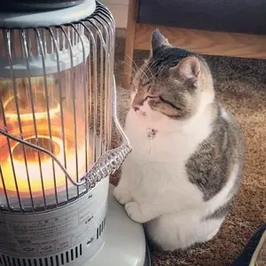 Profile Picture of Pink_Kisses_Tralala (@pink_kisses_tralala) on Tiktok