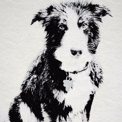 Profile Picture of Greg Gillett (@GillettGreg) on Twitter