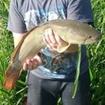 Profile Picture of Will Scott Mitchem (@willtitan404) on Instagram