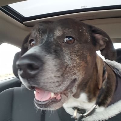 Michael Crosson - Twitter Profile Picture of Michael Crosson (@Michaelcrosson1) on Twitter