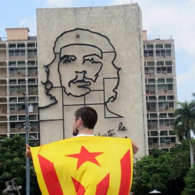 Profile Picture of Rubén David Borràs (@rubo1714) on Twitter