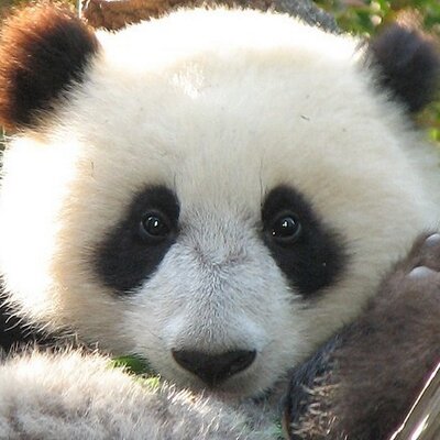 Profile Picture of Paul Campagna (@pc_2001_us) on Twitter