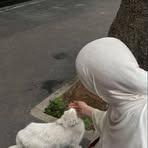 Profile Picture of Chahra Der (@Chahra-Der) on Facebook