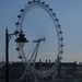 Profile Picture of Alex Carley (@acarley1406) on Pinterest