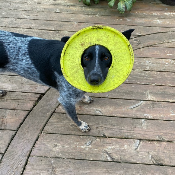 Shaunda Devenport - Poshmark Profile Picture of Shaunda Devenport (@shaunda_d) on Poshmark