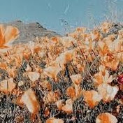 Profile Picture of Stephanie Maya (@StephanieMaya-xu6vq) on Youtube