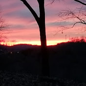 Profile Picture of Craig Cole (@craigcole8504) on Youtube