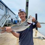 Profile Picture of Brad Speener (@bradspeener) on Instagram