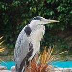 Matt Jung - Instagram Profile Picture of Matt Jung (@mattjung.photography) on Instagram