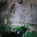 Profile Picture of Sylvia Knapp (@sylvia13091962) on Instagram