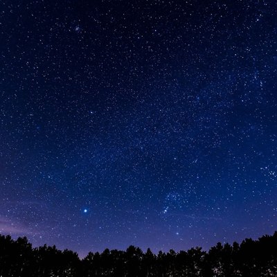 Profile Picture of Elizabeth_borjas (@elizabe92065588) on Twitter