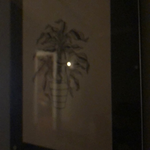 Joey Etchason - Poshmark Profile Picture of Joey Etchason (@jetchason) on Poshmark