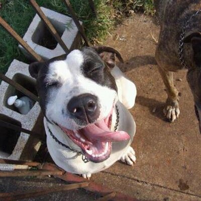 Profile Picture of Tom Higa (@_thiga) on Twitter