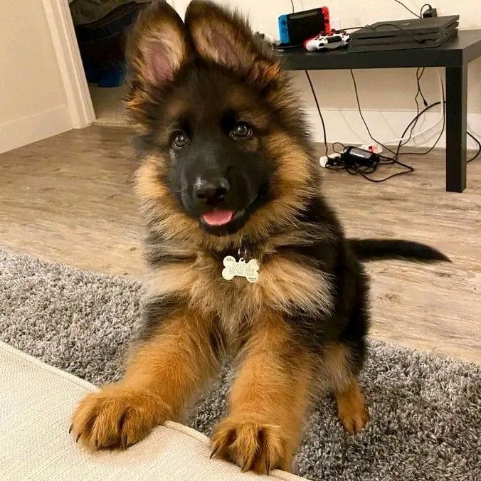 Profile Picture of Brian Cap (@brian.cap2) on Tiktok
