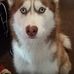 Profile Picture of Kim Connors (@kim.connors.9809) on Facebook