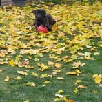 Profile Picture of Jacqueline Forster (@jacqueline.peskett.5) on Facebook